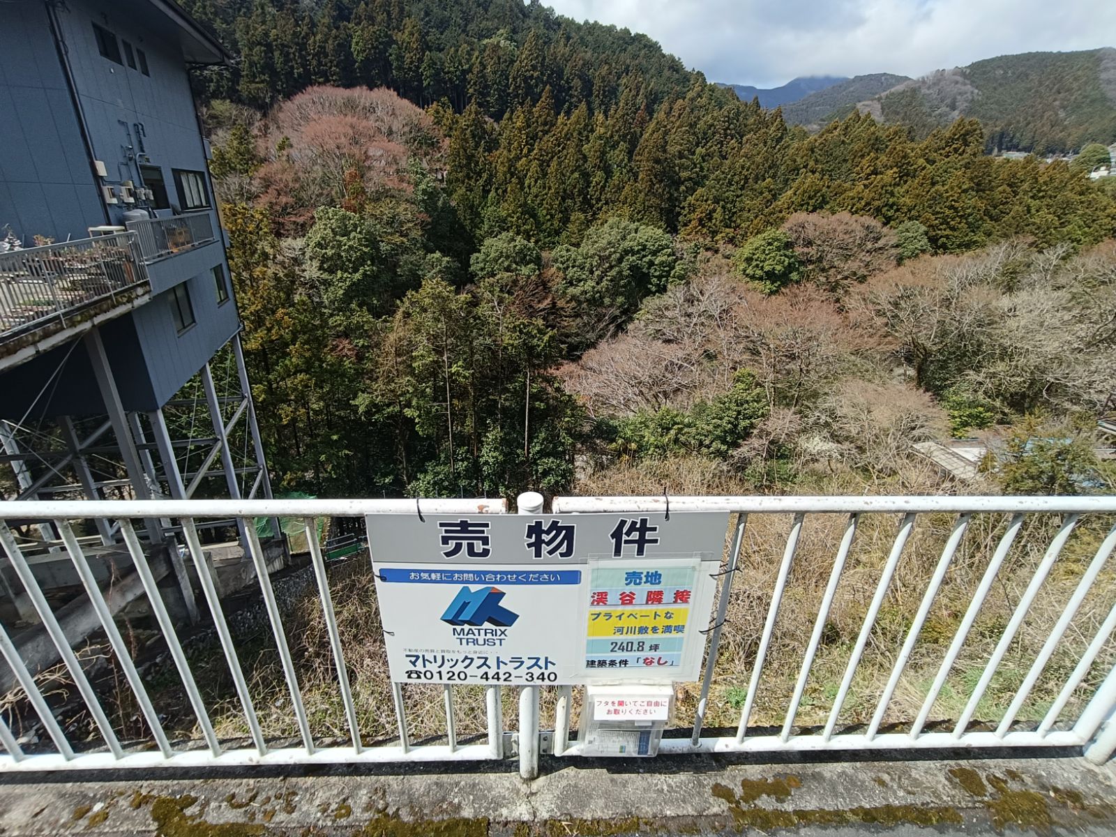 【お預かり物件】多摩川渓谷隣接｜ゆとりの795㎡(240.48坪)・眺望良好です｜東京都西多摩郡奥多摩町川井の土地｜1,350万円｜マトリックストラスト｜不動産相続の相談窓口｜2026.5.16