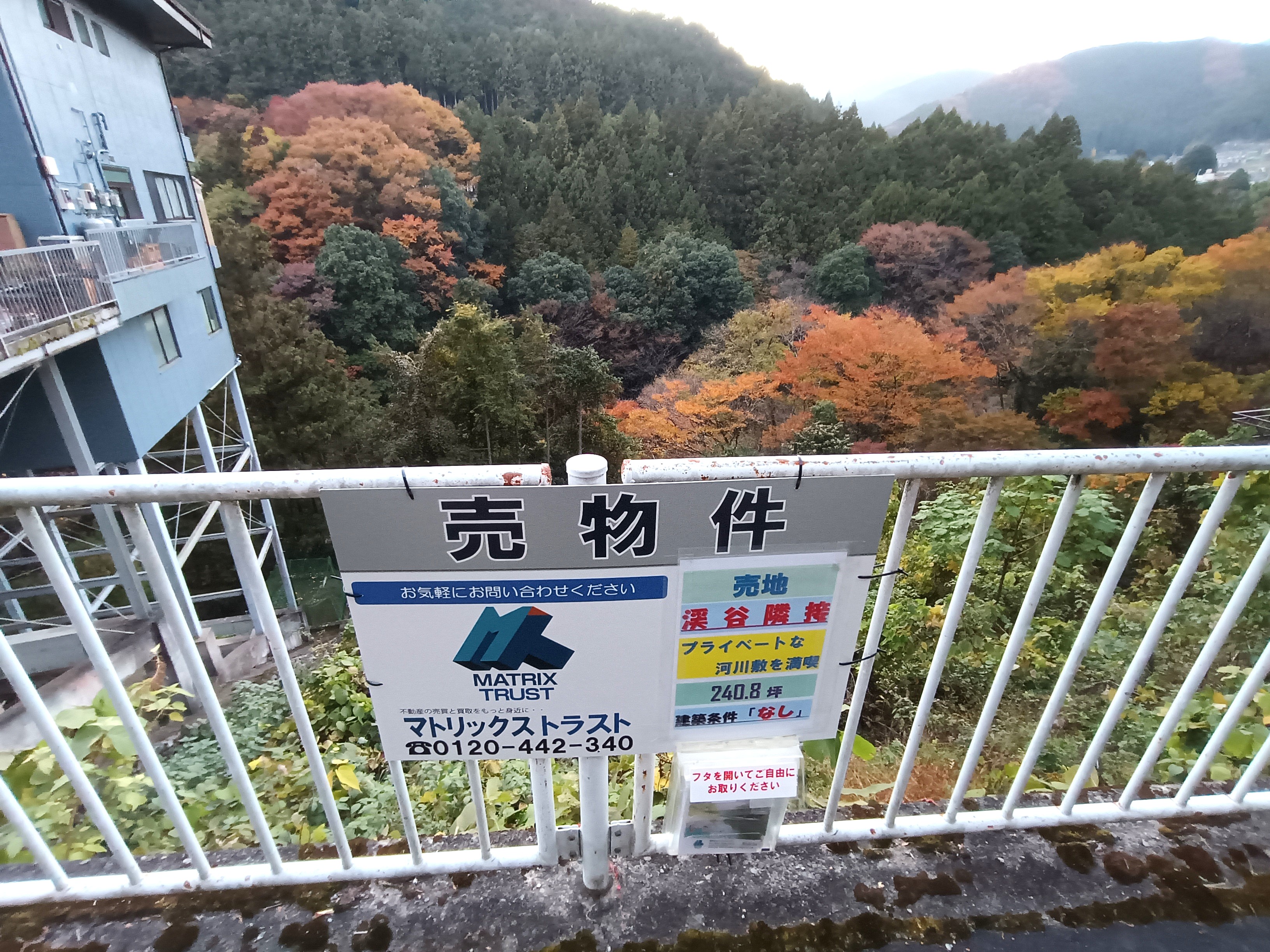 お預かり物件|多摩川渓谷隣接・眺望良好♪|奥多摩の自然に囲まれた立地|東京都西多摩郡奥多摩町川井の土地|ゆとりの795㎡(240.48坪)|1,350万円|マトリックストラスト|不動産相続の相談窓口|2026.2.13