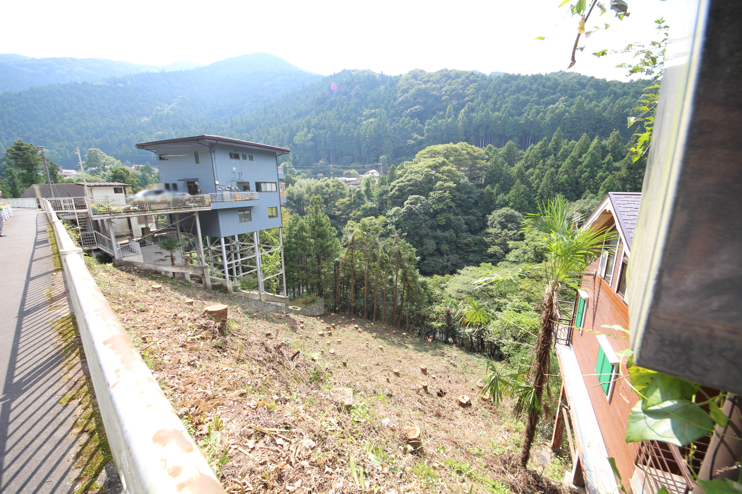 お預かり物件｜奥多摩で水と緑に包まれた四季折々を・・自然の中のゆとり空間795㎡(240.48坪)｜東京都西多摩郡奥多摩町川井の土地｜1,350万円｜マトリックストラスト｜2025.11.17