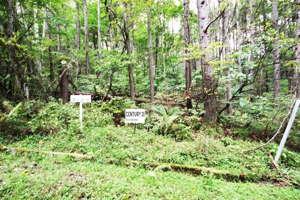 弊社売主物件｜喧騒から解き放たれた空間｜長野県千曲市大字桑原聖高原樺平別荘分譲地 土地｜120万円｜マトリックストラスト｜2025.11.30